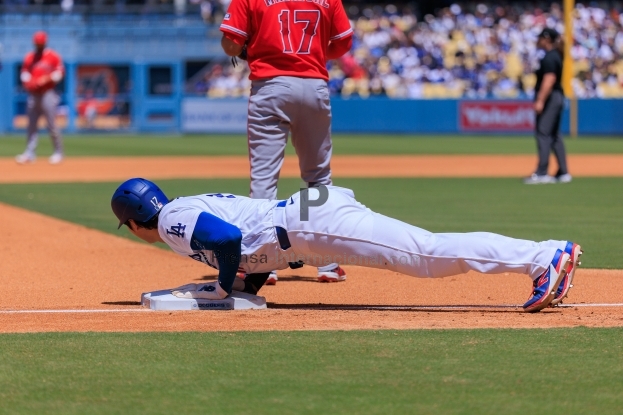 Slideshow Image 2